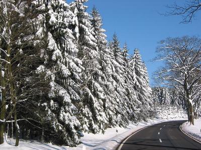 Vogelsberg im Winter